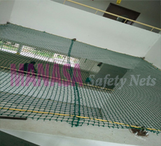 Best Pigeon Nets