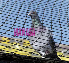 Best Pigeon Nets in Bangalore